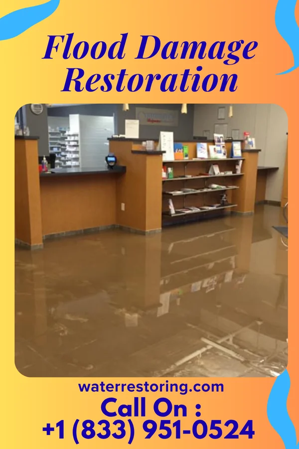 Flood Damage Restoration in Fox Point, WI