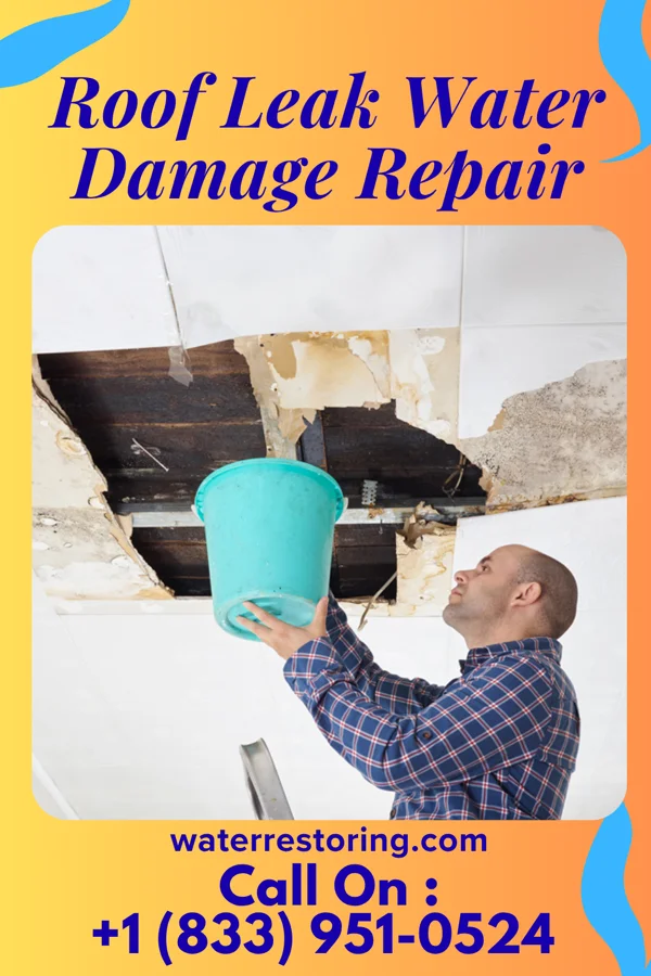 Roof Leak Water Damage Repair in Fox Point, WI