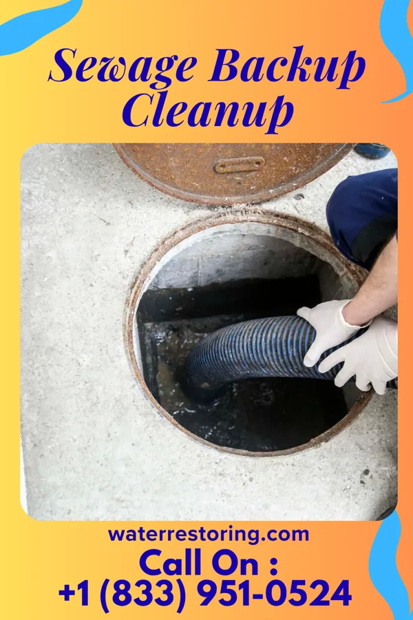Sewage Backup Cleanup in Fox Point, WI
